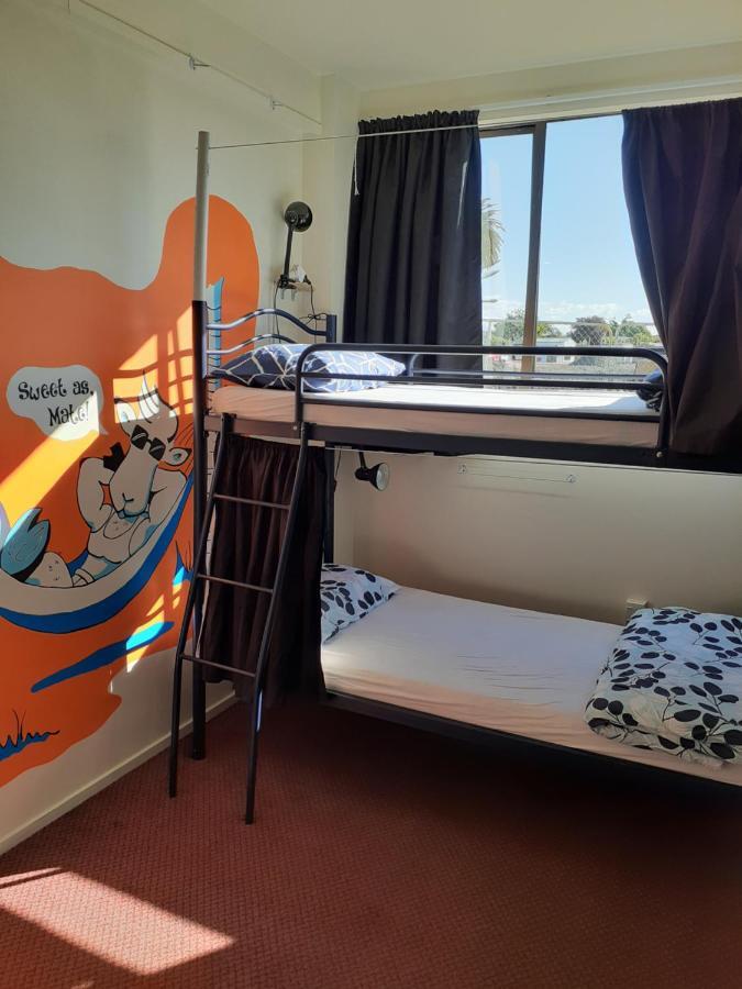 Bouncing Lamb Backpackers Hostel เนลสัน ภายนอก รูปภาพ